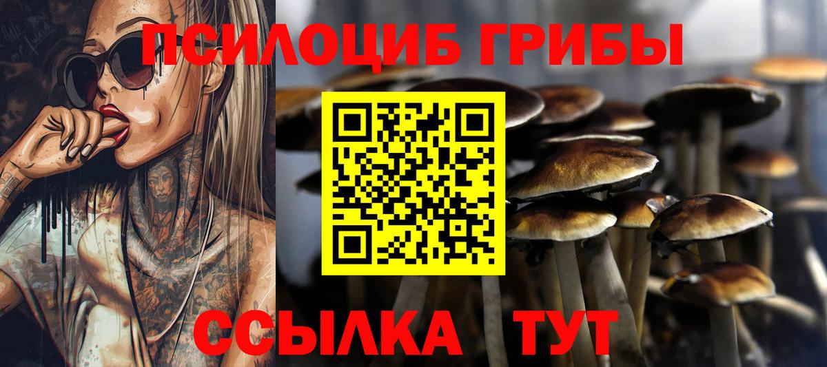 Галлюциногенные грибы Psilocybe Стрежевой
